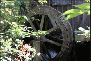 Thomas Mill