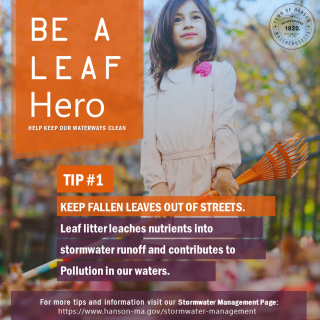Be A Leaf Hero 1