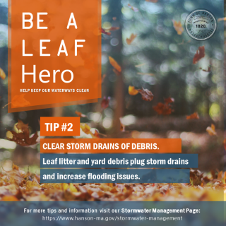 Be A Leaf Hero 2