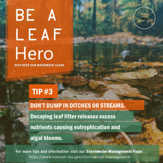 Be A Leaf Hero 3