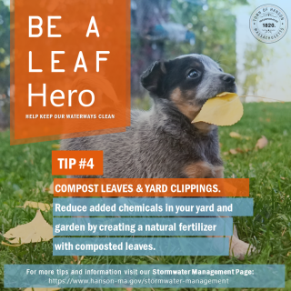 Be A Leaf Hero 4